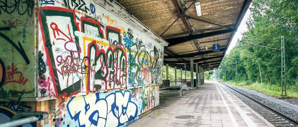 Wenig einladend. Nur 180 Fahrgäste nutzen den Bahnhof Pirscheide täglich. Das soll sich ändern. Der Bedarfshalt soll zum Umsteigebahnhof werden. Dazu will das Land unter anderem die oberen Bahnsteige des Kreuzungsbauwerks wieder in Betrieb nehmen. 1958 war der Bahnhof Pirschheide als Hauptbahnhof von Potsdam eröffnet worden.