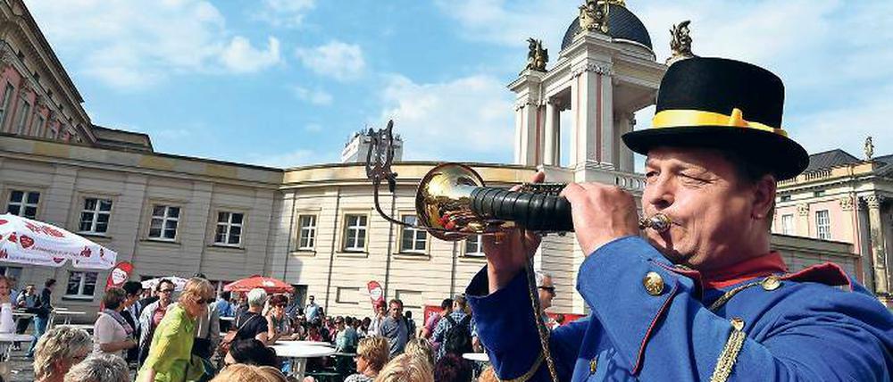 Frust. Ein Cottbuser Postkutscher spielt vor dem Landtag das Brandenburg-Lied.