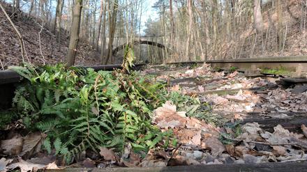 Da jährlich wieder mehrere Hundert Menschen auf dem Südwestkirchhof Stahnsdorf beigesetzt werden, besteht Ihlefeld zufolge noch immer ein Bedarf an der Bahn.