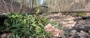 Da jährlich wieder mehrere Hundert Menschen auf dem Südwestkirchhof Stahnsdorf beigesetzt werden, besteht Ihlefeld zufolge noch immer ein Bedarf an der Bahn.