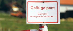 Seuchenalarm. Auch im Landkreis Potsdam-Mittelmark ist die Vogelgrippe mittlerweile angekommen. Am Freitag wurde ein Sperrbezirk eingerichtet. Betroffen sind Werder (Havel) und sogar Teile von Potsdam.