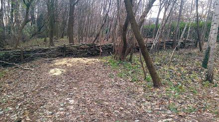 Hecke gebaut. Noch ist der Uferweg am Groß Glienicker See frei zugänglich.