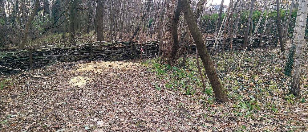 Hecke gebaut. Noch ist der Uferweg am Groß Glienicker See frei zugänglich.