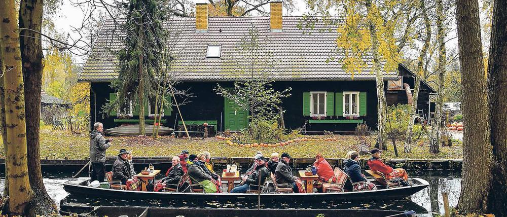 Nützlicher Schutz. Das Ausbaggern soll die Wasserwege im Spreewald freihalten. Die zurückgebliebene Substanz kann sich eventuell dazu eignen, verbaut zu werden – etwa bei Straßenböschungen.