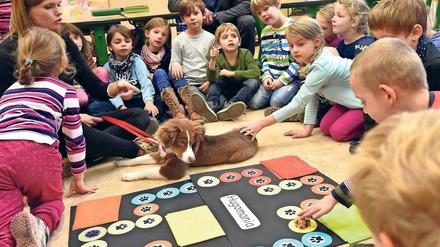 Entspannt. Schulhund Hugo fühlt sich sichtlich wohl zwischen den Erstklässlern. Seit Beginn des Schuljahres begleitet er sein Frauchen, die Lehrerin Stefanie Mühlberg, an ein bis zwei Tagen mit in den Unterricht. Noch ist er in der Ausbildung.