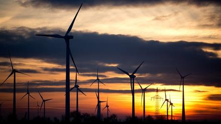 Mehr Wind, bitte! Brandenburg will die Energiewende vorantreiben. Doch noch fehlt es an der Akzeptanz der Bürger.