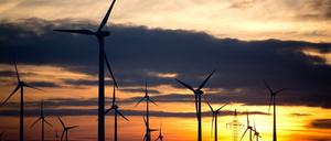 Mehr Wind, bitte! Brandenburg will die Energiewende vorantreiben. Doch noch fehlt es an der Akzeptanz der Bürger.