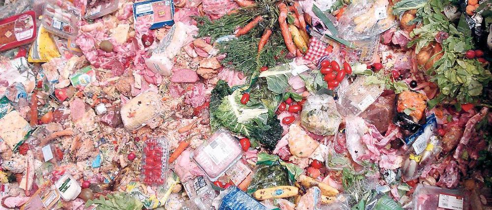 Alles umsonst. Allein die Deutschen werfen jährlich 15 Millionen Tonnen Essen in den Müll, wie der Film „Taste the Waste“ zeigt. In Frankreich waren es im Vorjahr 10,3 Millionen, Gesetze und eine Werbekampagne sollen den Wert halbieren.