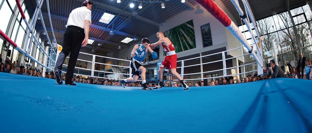 Neue Saison ohne den den amtierenden Titelträger. Motor Babelsberg gehört im Kampfjahr 2016/17 nicht zu den Teilnehmern an der Bundesliga. Vorausgegangenen waren vonseiten des Deutschen Boxsport-Verbandes eine inkonsequente Organisation des Ligabetriebs und ein anschließendes Kommunikationsdefizit.