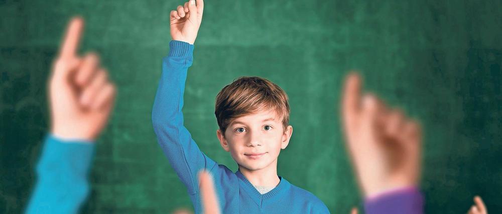 Zeit für Entscheidungen. Musikschwerpunkt oder Sportbetonung? Jahrgangsübergreifender Unterricht oder Schachstunden? Schuluniform oder Eurythmie? Die Vielfalt der Potsdamer Grundschulen ist groß, wie unser Überblick zeigt.