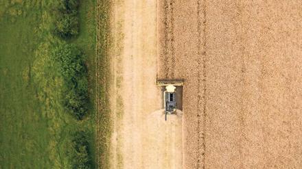 Hightech auf dem Acker. Das Potsdamer ATB entwickelt Algorithmen, die Messdaten von den Feldern daraufhin untersuchen, ob die kontrollierten Pflanzen mit dem Schädling befallen sind. Dabei hilft unter anderem auch ein Vertikalsensor.