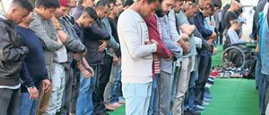 Geprägt wird der religiöse Alltag in Potsdam vor allem durch das Christentum, das Judentum und inzwischen auch durch den Islam. Aber auch Buddhisten, Hindus und Anhänger des Bahaitums, einer weltweit verbreiteten Religion mit rund fünf Millionen Anhängern, die sich auf die Lehren des Religionsstifters Baha’ullah (1817–1892) berufen, leben in Brandenburgs Landeshauptstadt.