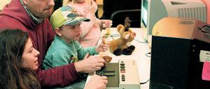 Zurück in die Zukunft. Spaß mit Videospielen der ersten Generation.