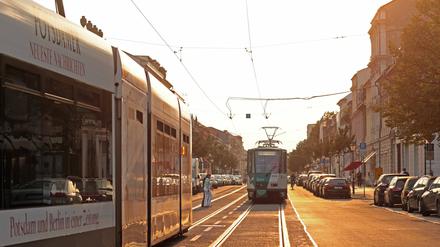 Eine Tram wiege mehr als 20 Tonnen, könne im Ernstfall nicht ausweichen und habe zudem einen längeren Bremsweg als ein Auto, heißt es vom Verkehrsbetrieb Potsdam.