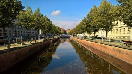 Baden im Potsdamer Stadtkanal verboten. Warum eigentlich?