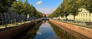 Baden im Potsdamer Stadtkanal verboten. Warum eigentlich?