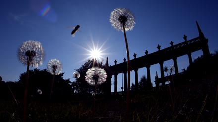 Kaum ein Bundesland war im September so sonnig wie Brandenburg? Diese Aufnahme an der Glienicker Brücke stammt vom 27. September.