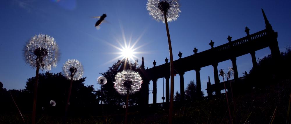Kaum ein Bundesland war im September so sonnig wie Brandenburg? Diese Aufnahme an der Glienicker Brücke stammt vom 27. September.