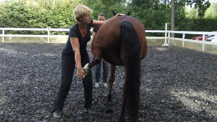 Früher war Claudia Schebsdat Physiotherapeutin, heute kümmert sie sich um Pferde.