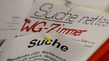 WGs sind in Potsdam günstiger als alleine wohnen.