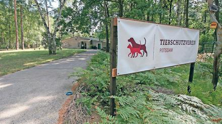 Etappenziel. Der Umzug in die Michendorfer Chaussee soll den Tierschutzverein dem eigenen Tierheim näher bringen. Doch bis es soweit ist, muss noch viel Arbeit geleistet und Geld aufgetrieben werden.