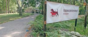Etappenziel. Der Umzug in die Michendorfer Chaussee soll den Tierschutzverein dem eigenen Tierheim näher bringen. Doch bis es soweit ist, muss noch viel Arbeit geleistet und Geld aufgetrieben werden.