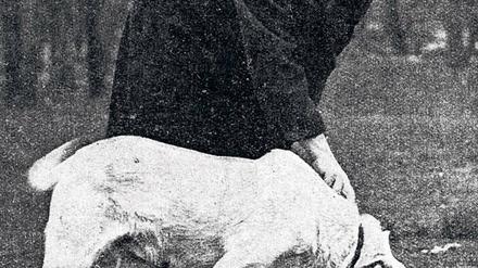Der Fall Adolf Seefeld. Bei der Suche nach den Leichen der vermissten Kinder kam auch Fährtenhund „Schimmel“ zum Einsatz.