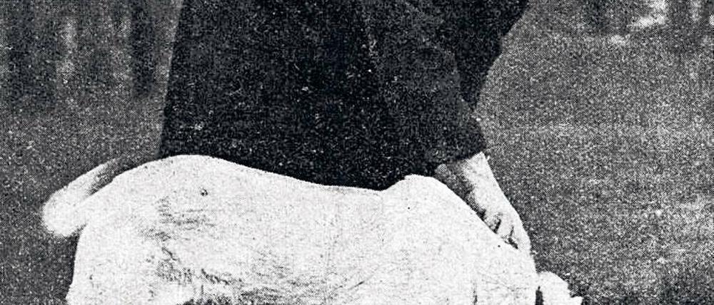 Der Fall Adolf Seefeld. Bei der Suche nach den Leichen der vermissten Kinder kam auch Fährtenhund „Schimmel“ zum Einsatz.