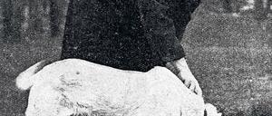 Der Fall Adolf Seefeld. Bei der Suche nach den Leichen der vermissten Kinder kam auch Fährtenhund „Schimmel“ zum Einsatz.