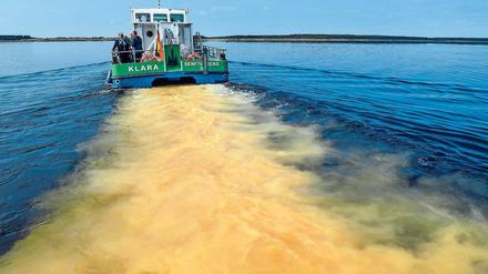 Jungfernfahrt. Im Wasser des Partwitzer Sees ist hinter dem Wasseraufbereitungsschiff der Lausitzer und Mitteldeutschen Bergbau-Verwaltungsgesellschaft (LMBV) eine Kalkspur zu sehen. Nach knapp einjähriger Bauzeit ging das Schiff „Klara“ erstmals auf Fahrt.
