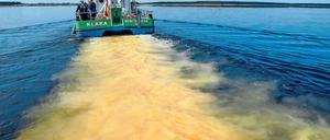 Jungfernfahrt. Im Wasser des Partwitzer Sees ist hinter dem Wasseraufbereitungsschiff der Lausitzer und Mitteldeutschen Bergbau-Verwaltungsgesellschaft (LMBV) eine Kalkspur zu sehen. Nach knapp einjähriger Bauzeit ging das Schiff „Klara“ erstmals auf Fahrt.