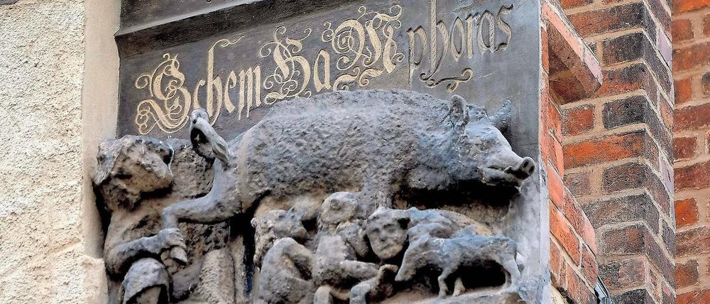 Christliche Judenfeindschaft. Die sogenannte „Judensau“ war im Mittelalter ein beliebtes Motiv der Kirche zur Verleumdung der deutschen Juden. Die Tiermetapher findet sich heute noch an zahlreichen deutschen Kirchen (hier in Lutherstadt Wittenberg).