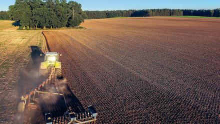 Weites Land. Die Linke beruft sich auf den Verfassungsauftrag, überall in Brandenburg gleichwertige Lebensverhältnisse zu gewährleisten.