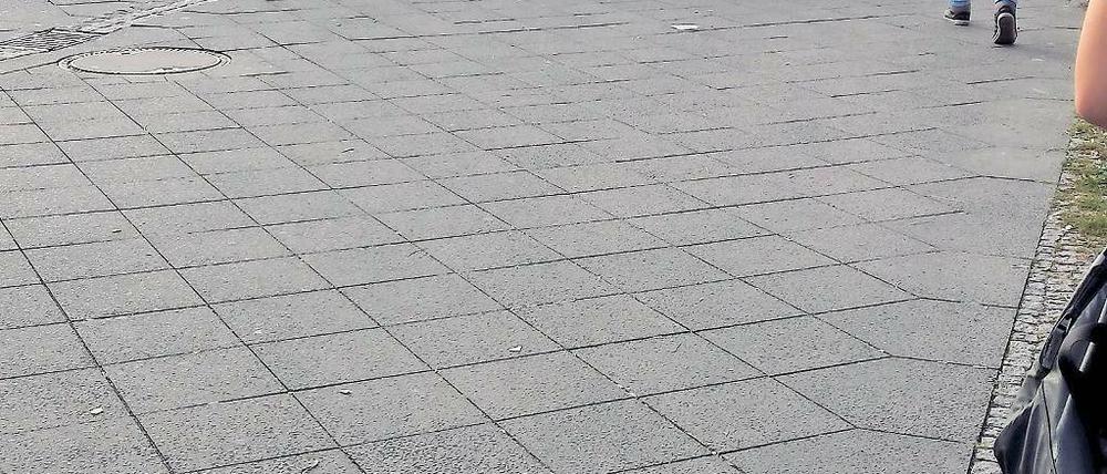 Erwischt. Der Mann wurde auf der Langen Brücke festgenommen.