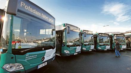 Es kommt zu Verzögerungen und Änderungen im Busverkehr Potsdams.