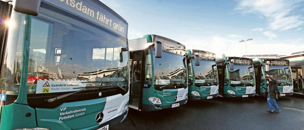 Es kommt zu Verzögerungen und Änderungen im Busverkehr Potsdams.