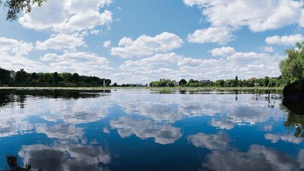Auch in der kommenden Woche soll es schön sommerlich in Potsdam bleiben.