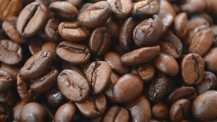 In den Mensen und Caféterien des Studentenwerks Potsdam wird viel Kaffee getrunken. Im Jahr fallen 7000 Kilogramm Kaffeesatz an.