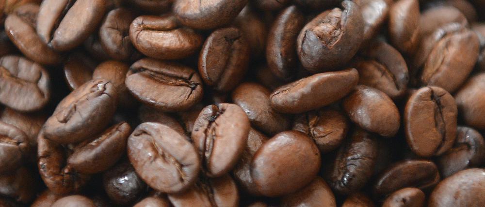 In den Mensen und Caféterien des Studentenwerks Potsdam wird viel Kaffee getrunken. Im Jahr fallen 7000 Kilogramm Kaffeesatz an.