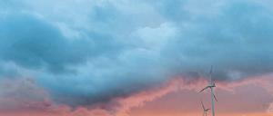 Welcher Baum gehört wohin? Brandenburgs rot-rote Regierungskoalition hat die Kreisgebietsreform zu ihrem wichtigsten Projekt bis zur nächsten Landtagswahl 2019 ausgerufen.