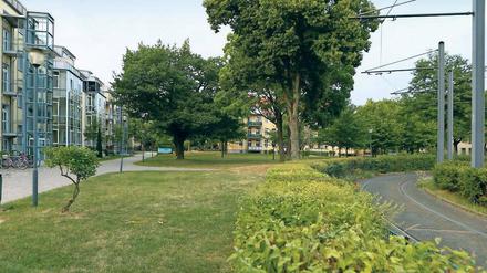 Wiese statt Spielplatz. Der Spielplatz an der Kirschallee war bei Familien beliebt. Er ist aber abgebaut worden – weil er marode und gefährlich war, sagt die Hausverwaltung.