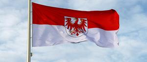 Der Zuzug aus Berlin nach Brandenburg nimmt stetig zu.