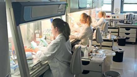 Geprobt. Im Institut werden die Werte der Studienteilnehmer gemessen.