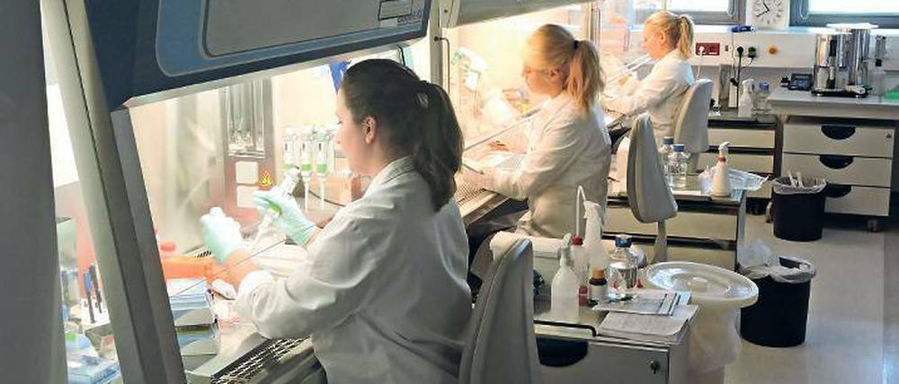 Geprobt. Im Institut werden die Werte der Studienteilnehmer gemessen.