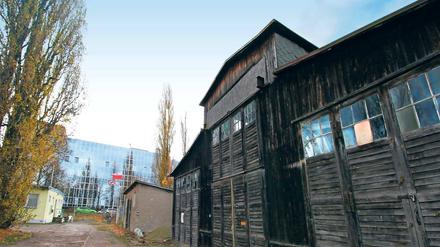 Verlassen und leer. Nur die Musikschule ist in der Baracke auf dem zu DDR-Zeiten von einem Baubetrieb genutzten Areal in der Oderstraße verblieben. Gern würde sie dort investieren.