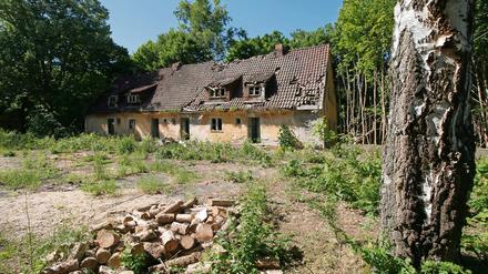 Zum geplanten Wohnviertel laufen sieben Gerichtsverfahren.