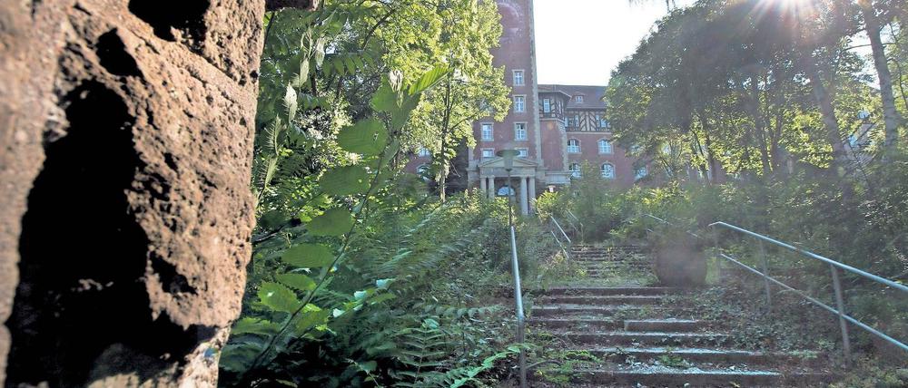Der alte „Kreml“ wird bald nicht mehr das einzige Gebäude sein, das auf der Spitze des Brauhausberges zu sehen ist.