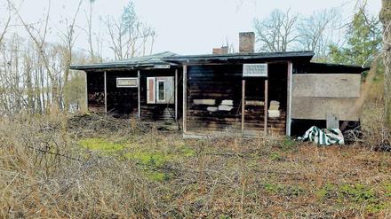 Verfallen und zugewachsen. Jahrelang stand das Alexander-Haus leer. Jetzt soll die Sanierung beginnen. Darüber berichtete vor kurzem sogar die „New York Times“.