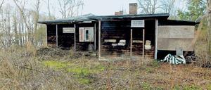 Verfallen und zugewachsen. Jahrelang stand das Alexander-Haus leer. Jetzt soll die Sanierung beginnen. Darüber berichtete vor kurzem sogar die „New York Times“.