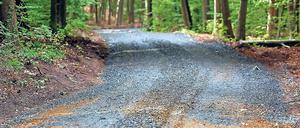 Breitere Wege. Naturschützer kritisieren den Ausbau der Wege im Wildpark und befürchten negative Folgen für Flora und Fauna. Das Land verteidigt die Maßnahmen.